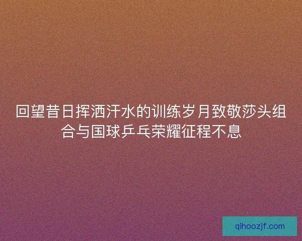回望昔日挥洒汗水的训练岁月致敬莎头组合与国球乒乓荣耀征程不息